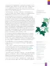 Miniatura página 25 de Lengua y Literatura – Octavo Básico | Texto del Estudiante MINEDUC – Descargar PDF · 2024