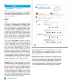 Miniatura página 44 de Libro de Sumo Primero – Sexto Básico | Texto del Estudiante MINEDUC – Descargar PDF · 2024
