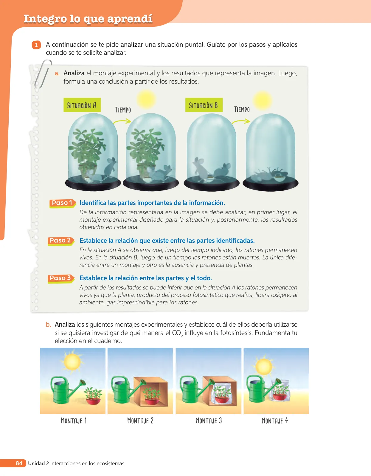 Página 203 de Libro de Ciencias Naturales – Quinto Básico | Texto del Estudiante MINEDUC – Descargar PDF · 2024
