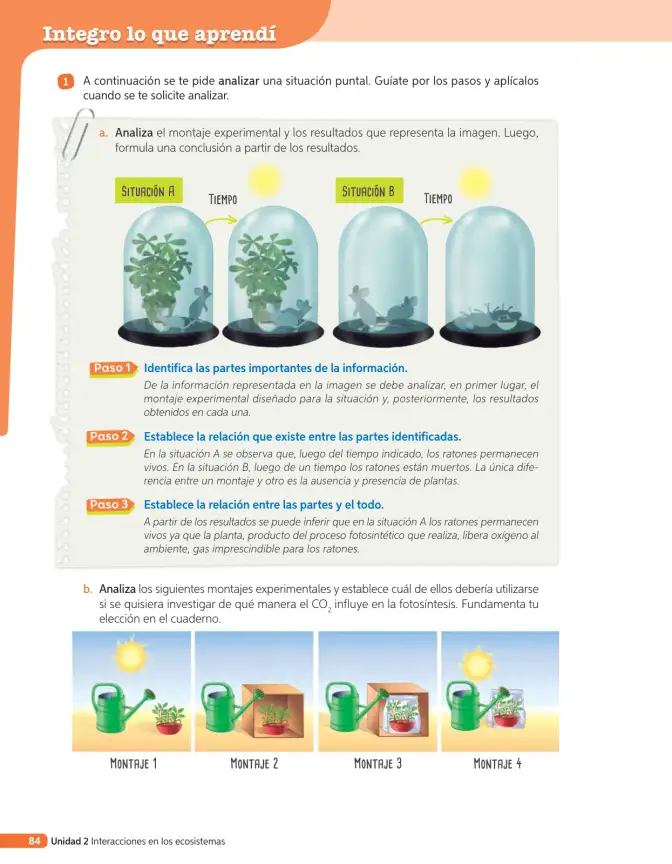 Página 203 de Libro de Ciencias Naturales – Quinto Básico | Texto del Estudiante MINEDUC – Descargar PDF · 2024