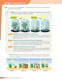 Miniatura página 203 de Libro de Ciencias Naturales – Quinto Básico | Texto del Estudiante MINEDUC – Descargar PDF · 2024