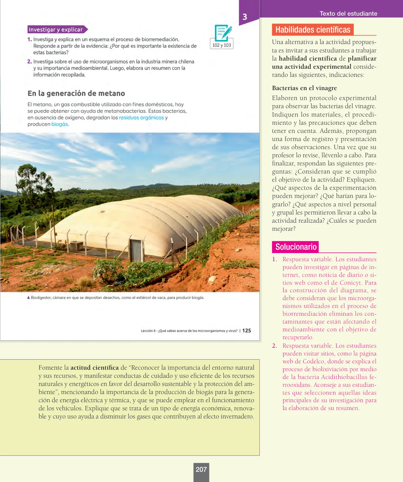 Miniatura página 32 de Ciencias Naturales – Séptimo Básico | Texto del Estudiante MINEDUC – Descargar PDF · 2024