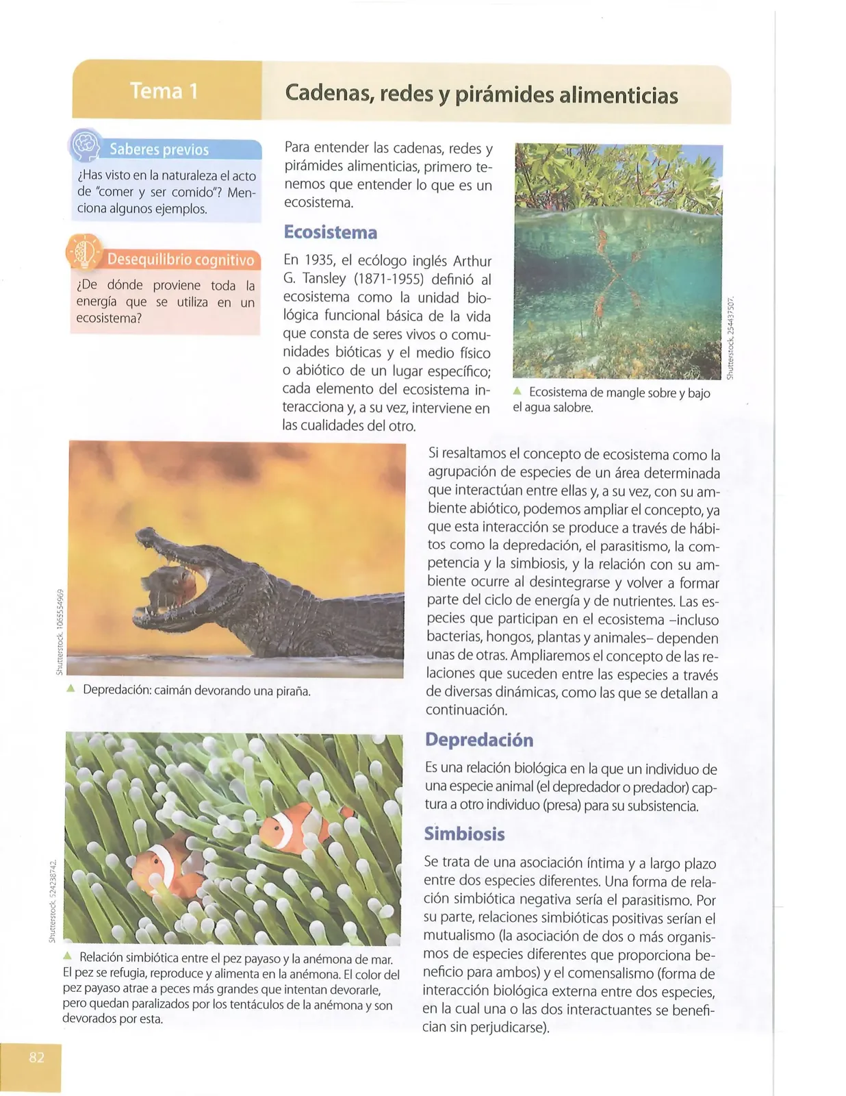 Página 81 de Ciencias Naturales · 8 EGB · 2025