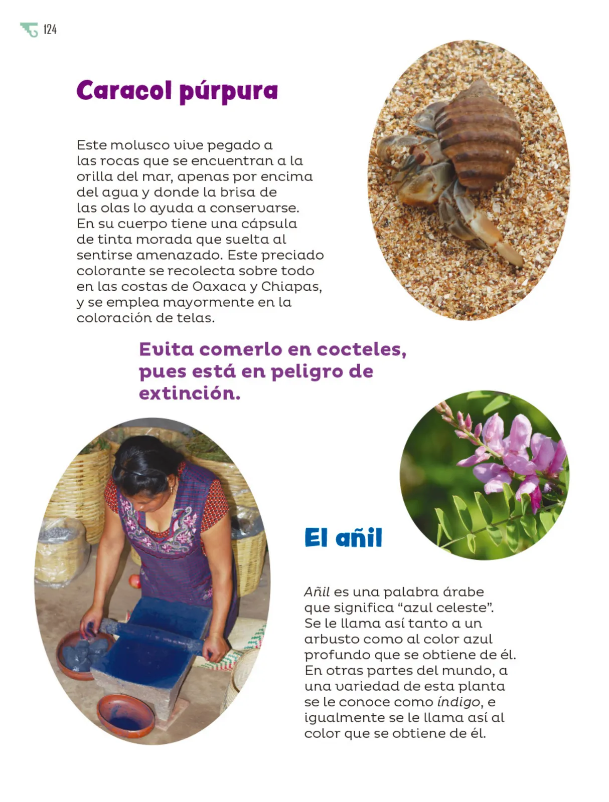Miniatura página 125 de Múltiples lenguajes.   Libro de Educación Primaria Grado 6°  Ciclo Escolar 2025 - 2026