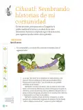 Miniatura página 13 de Proyectos Comunitarios.   Libro de Educación Primaria Grado 5°  Ciclo Escolar 2025 - 2026