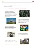 Miniatura página 292 de Colección Sk´asolil. Ética, naturaleza y sociedades.   Libro de Educación Secundaria Grado 2°  Ciclo Escolar 2025 - 2026