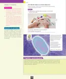 Miniatura página 19 de Ciencias Naturales – Octavo Básico | Texto del Estudiante MINEDUC – Descargar PDF · 2024