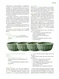 Miniatura página 182 de Modalidades de trabajo para la acción transformadora y el codiseño  Libro de Educación Preescolar Grado 1°, 2°, 3°  Ciclo Escolar 2025 - 2026