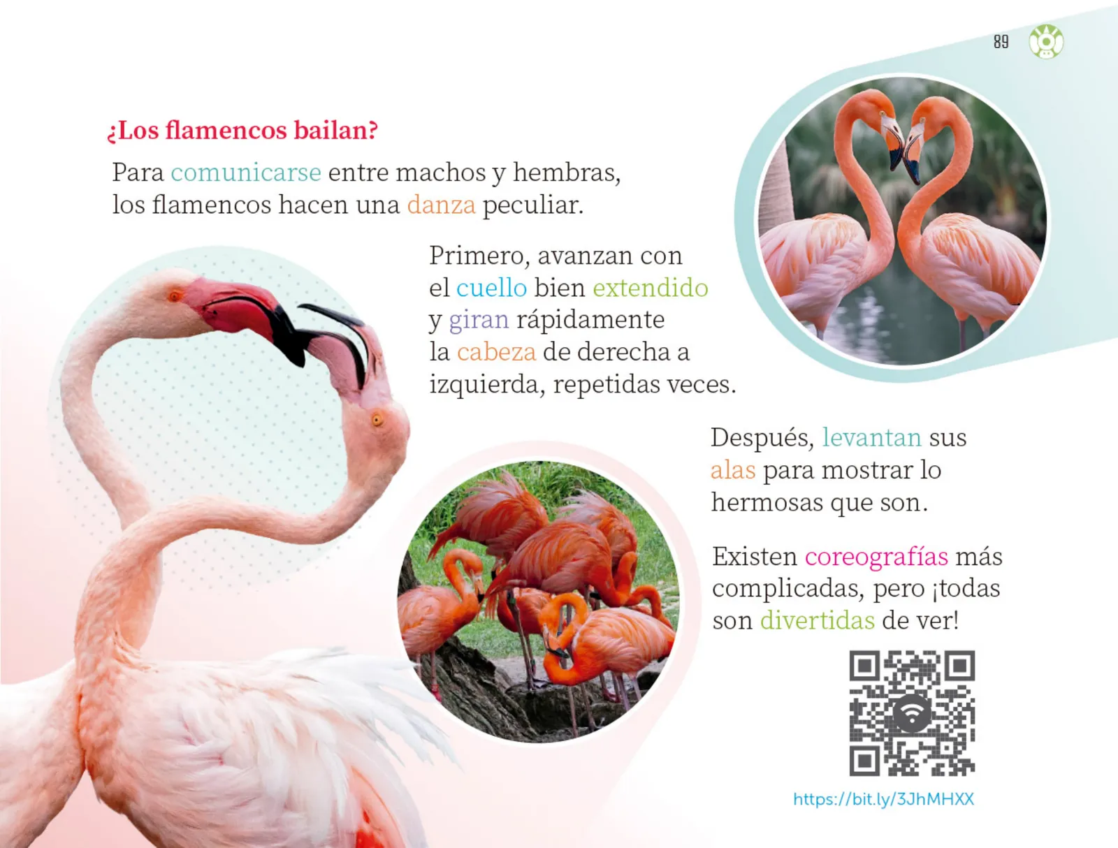 Página 90 de Múltiples lenguajes.   Libro de Educación Preescolar Grado 3°  Ciclo Escolar 2025 - 2026
