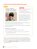 Miniatura página 118 de Ciencias Naturales – Cuarto Básico | Texto del Estudiante MINEDUC – Descargar PDF · 2024