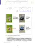 Miniatura página 50 de Aprendemos a través del lenguaje de las artes audiovisuales Fascículo 5 para estudiantes de Educación Secundaria · 2024