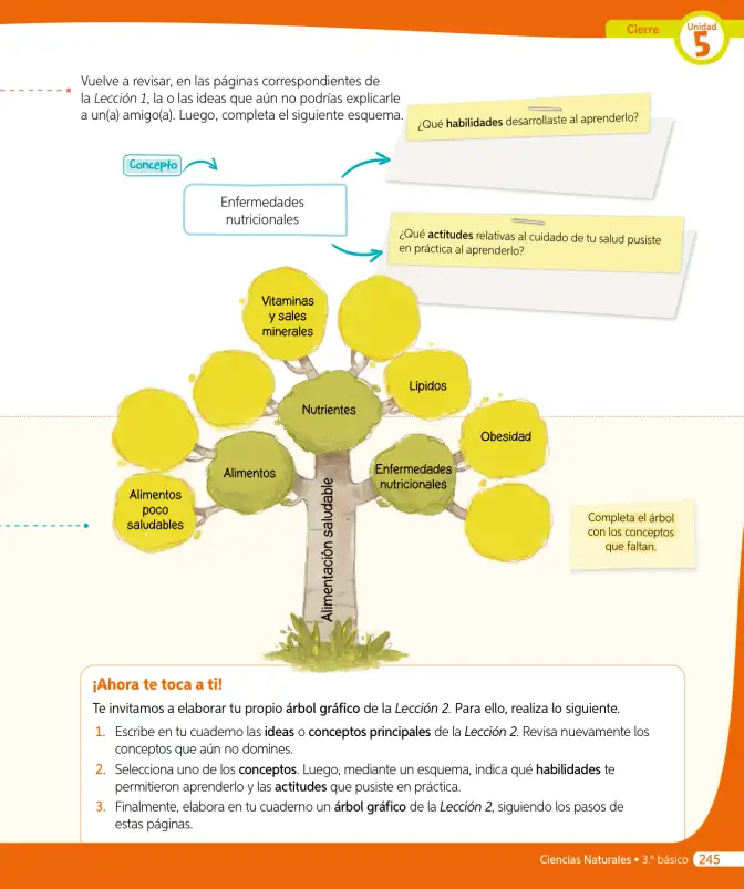 Página 264 de Ciencias Naturales – Tercero Básico | Texto del Estudiante MINEDUC – Descargar PDF · 2024