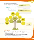 Miniatura página 264 de Ciencias Naturales – Tercero Básico | Texto del Estudiante MINEDUC – Descargar PDF · 2024