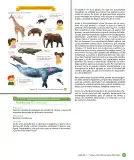 Miniatura página 49 de Libro de Sumo Primero – Sexto Básico | Texto del Estudiante MINEDUC – Descargar PDF · 2024