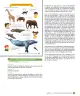 Miniatura página 49 de Libro de Sumo Primero – Sexto Básico | Texto del Estudiante MINEDUC – Descargar PDF · 2024