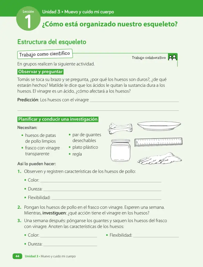 Página 46 de Ciencias Naturales – Cuarto Básico | Texto del Estudiante MINEDUC – Descargar PDF · 2024