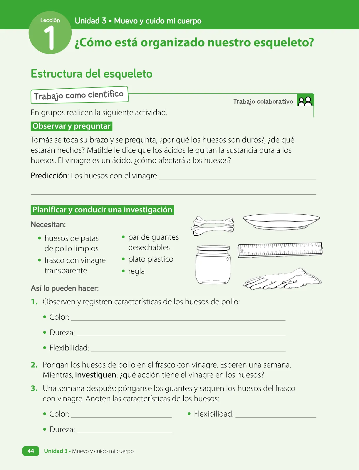 Miniatura página 46 de Ciencias Naturales – Cuarto Básico | Texto del Estudiante MINEDUC – Descargar PDF · 2024