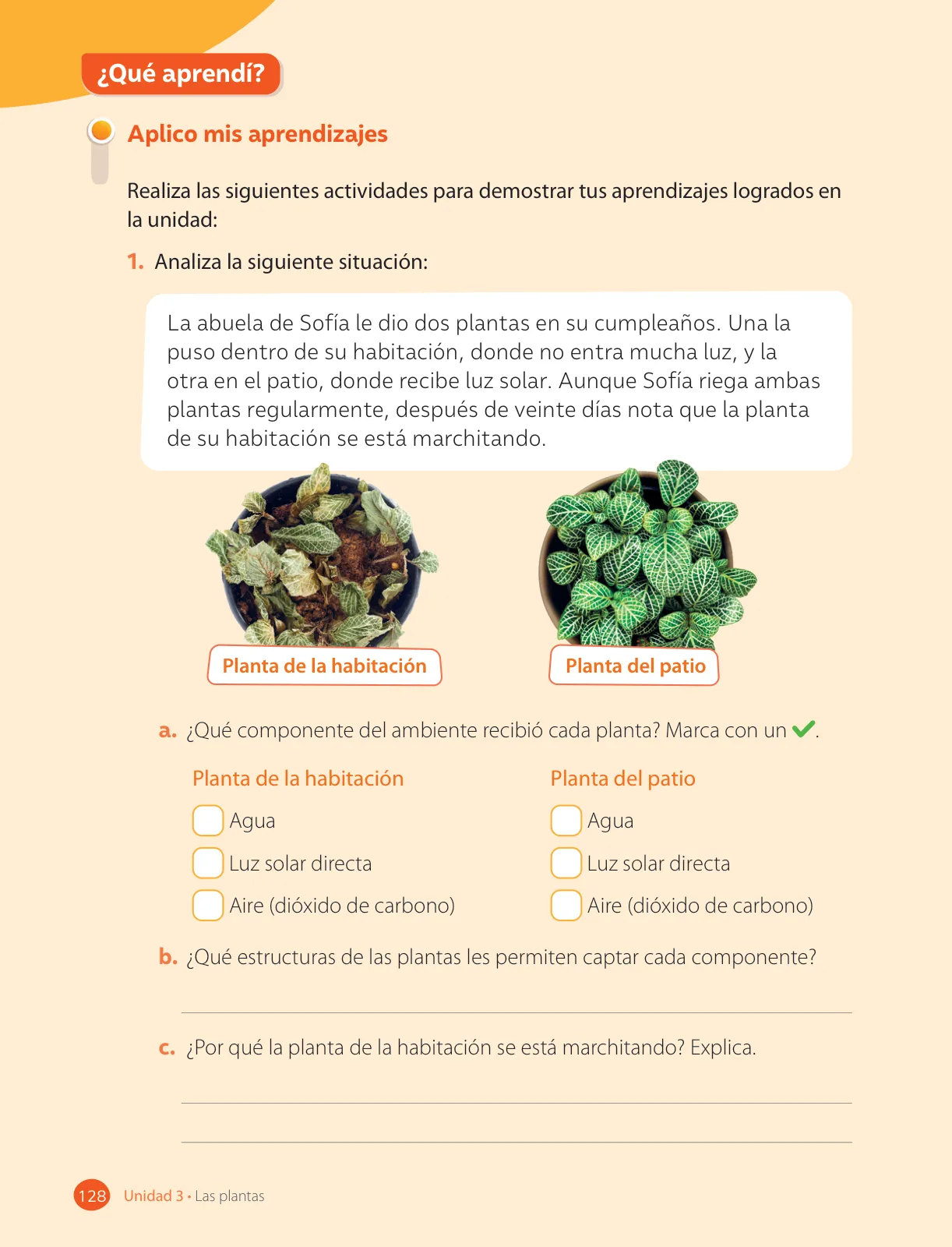 Miniatura página 130 de Ciencias Naturales – Tercero Básico | Texto del Estudiante MINEDUC – Descargar PDF · 2024