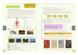 Página de Ciencias Naturales · 5 EGB · 2024
