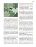 Miniatura página 166 de Modalidades de trabajo para la acción transformadora y el codiseño  Libro de Educación Preescolar Grado 1°, 2°, 3°  Ciclo Escolar 2025 - 2026