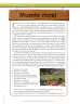 Miniatura página 242 de Ciencias Sociales 6° · Secundaria Activa