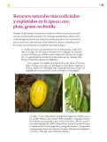 Miniatura página 72 de Colección Nanahuatzin. Ética, naturaleza y sociedades.   Libro de Educación Secundaria Grado 3°  Ciclo Escolar 2025 - 2026