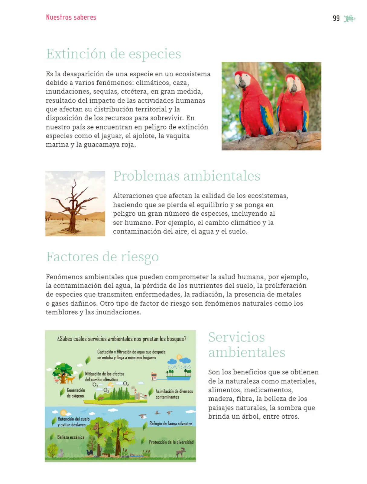Miniatura página 100 de Nuestros saberes: Libro para alumnos, maestros y familia.   Libro de Educación Primaria Grado 5°  Ciclo Escolar 2025 - 2026