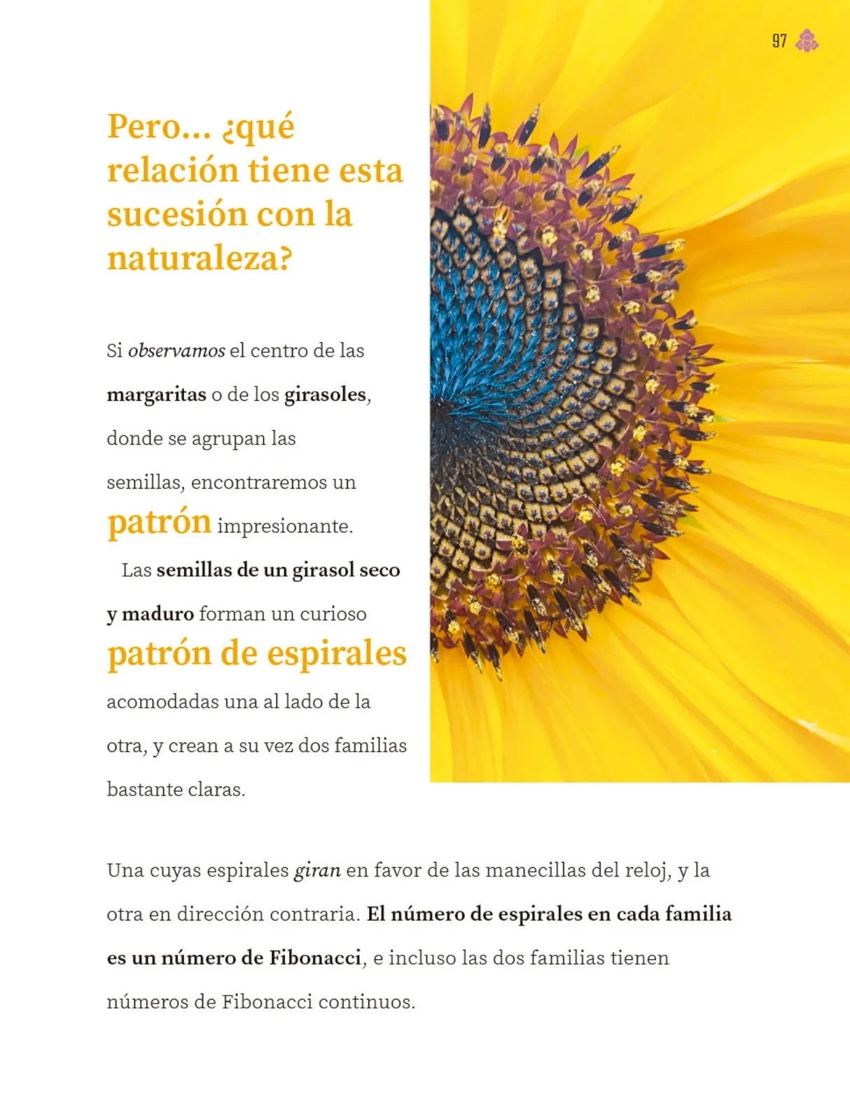 Pág 98