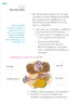 Miniatura página 25 de Proyectos de Aula.   Libro de Educación Primaria Grado 1°  Ciclo Escolar 2025 - 2026