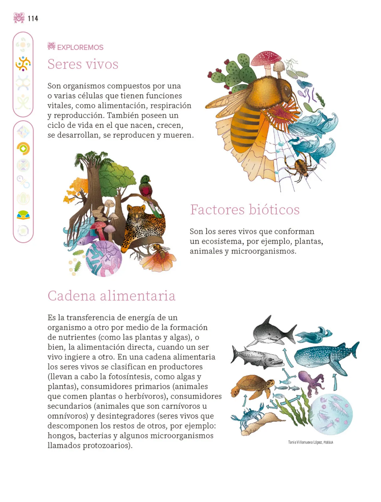 Página 115 de Nuestros saberes: Libro para alumnos, maestros y familia.   Libro de Educación Primaria Grado 3°  Ciclo Escolar 2025 - 2026