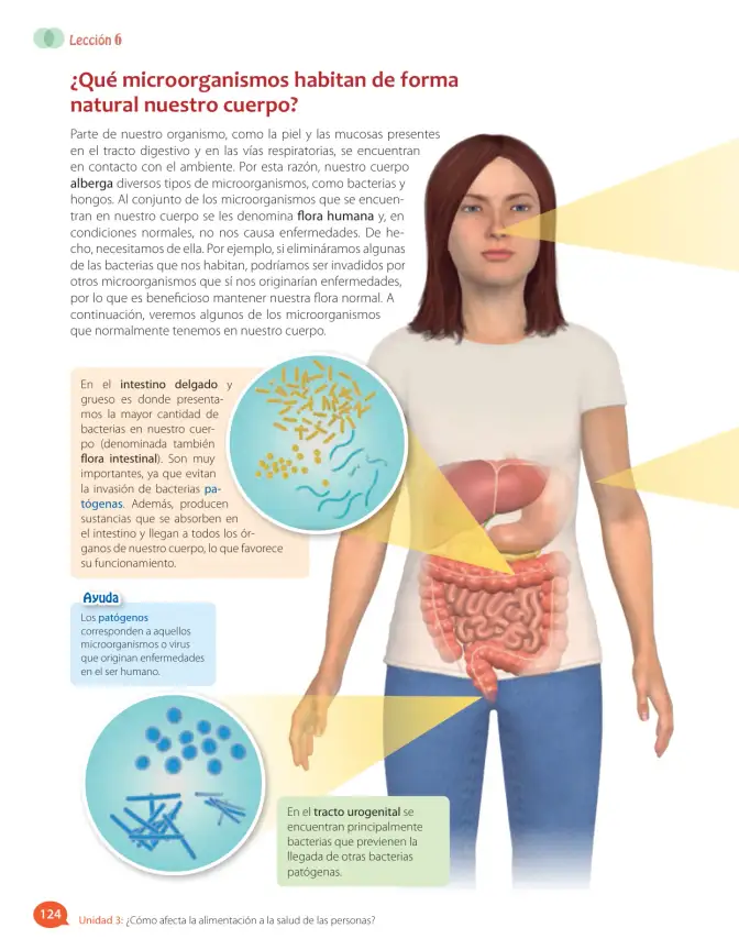 Página 78 de Libro de Ciencias Naturales – Quinto Básico | Texto del Estudiante MINEDUC – Descargar PDF · 2024