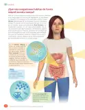 Miniatura página 78 de Libro de Ciencias Naturales – Quinto Básico | Texto del Estudiante MINEDUC – Descargar PDF · 2024
