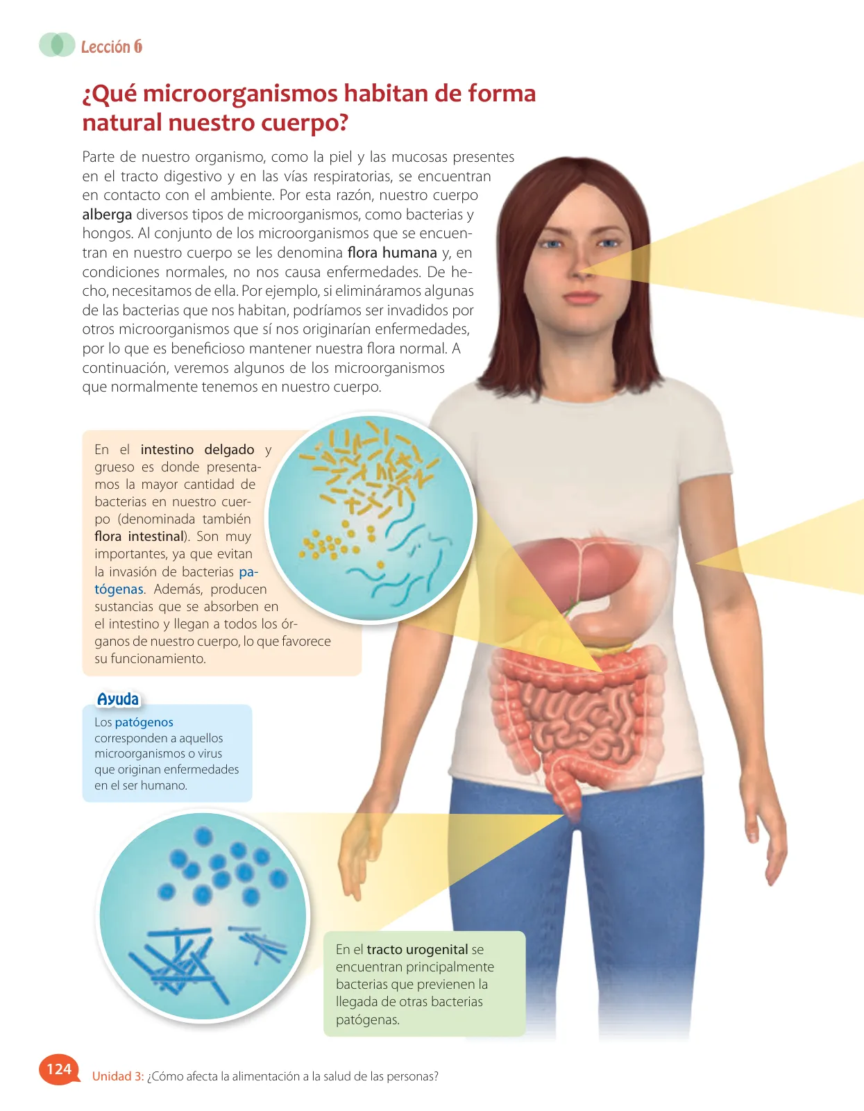 Miniatura página 78 de Libro de Ciencias Naturales – Quinto Básico | Texto del Estudiante MINEDUC – Descargar PDF · 2024