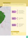Miniatura página 151 de Matematica 6° · Egb 6 Matematica 2025 · 2025