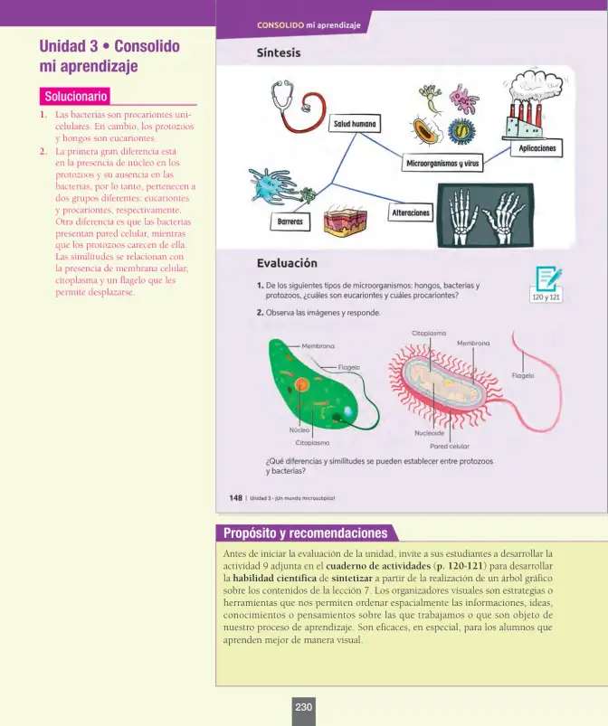 Página 55 de Ciencias Naturales – Séptimo Básico | Texto del Estudiante MINEDUC – Descargar PDF · 2024