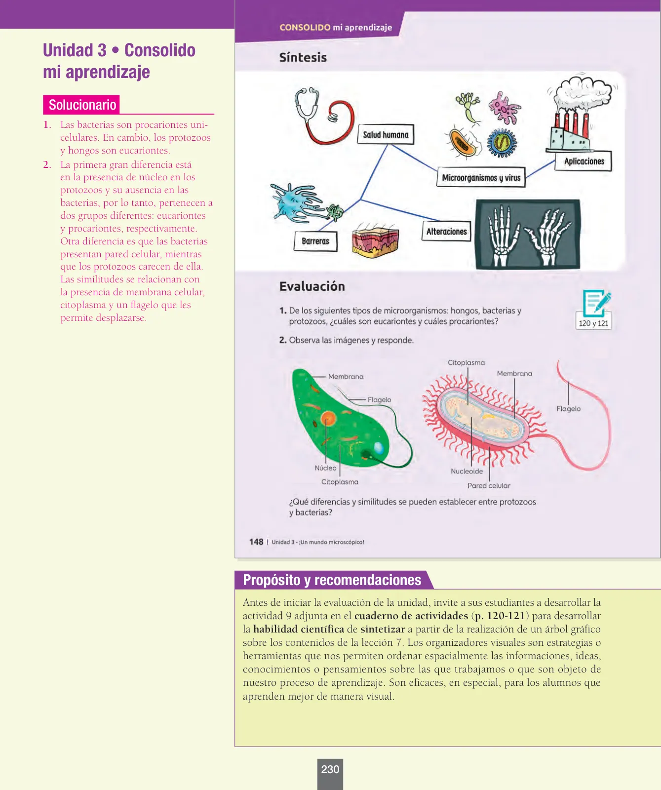Miniatura página 55 de Ciencias Naturales – Séptimo Básico | Texto del Estudiante MINEDUC – Descargar PDF · 2024
