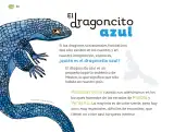 Miniatura página 155 de Múltiples lenguajes.   Libro de Educación Preescolar Grado 1°  Ciclo Escolar 2025 - 2026