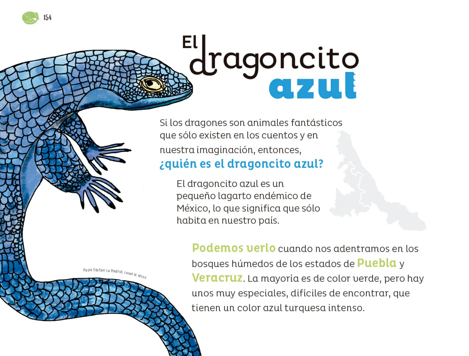 Miniatura página 155 de Múltiples lenguajes.   Libro de Educación Preescolar Grado 1°  Ciclo Escolar 2025 - 2026