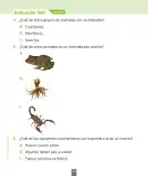 Miniatura página 121 de Ciencias Naturales – Segundo Básico | Texto del Estudiante MINEDUC – Descargar PDF · 2024