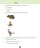 Miniatura página 121 de Ciencias Naturales – Segundo Básico | Texto del Estudiante MINEDUC – Descargar PDF · 2024