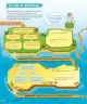 Miniatura página 31 de Ciencias Naturales – Tercero Básico | Texto del Estudiante MINEDUC – Descargar PDF · 2024