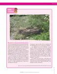 Pág 59