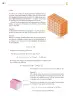 Miniatura página 19 de Colección Nanahuatzin. Saberes y pensamiento científico.   Libro de Educación Secundaria Grado 3°  Ciclo Escolar 2025 - 2026