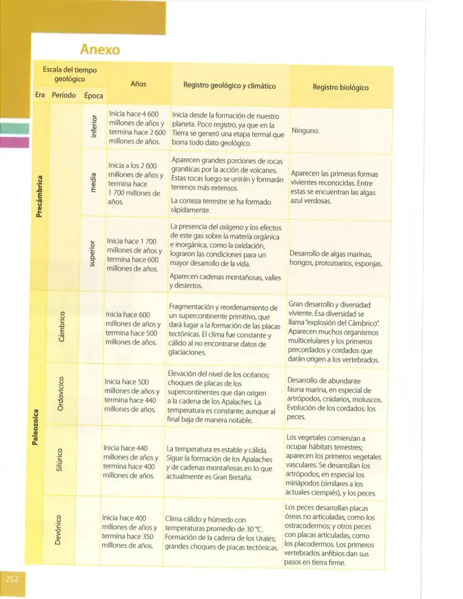 Página 251 de Estudios Sociales 8° · 2025
