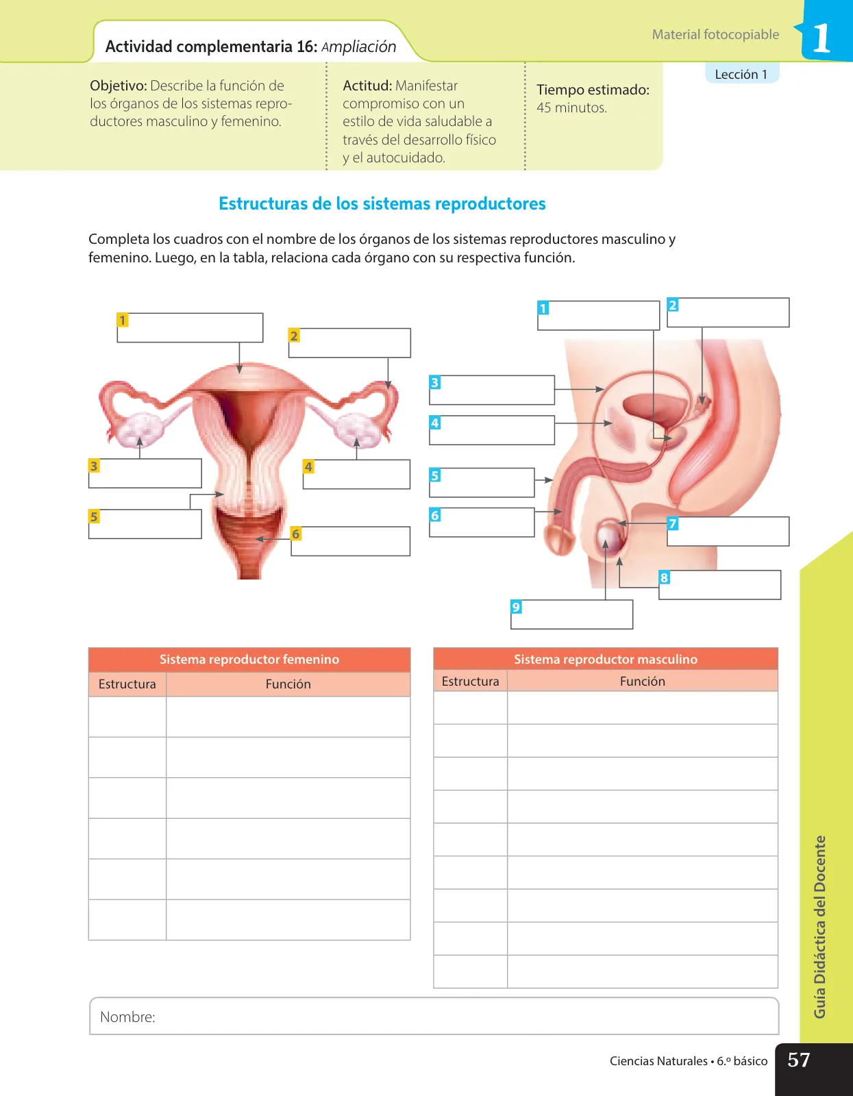 Miniatura página 70 de Libro de Ciencias Naturales – Quinto Básico | Texto del Estudiante MINEDUC – Descargar PDF · 2024