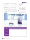 Miniatura página 36 de Libro de Ciencias Naturales – Quinto Básico | Texto del Estudiante MINEDUC – Descargar PDF · 2024