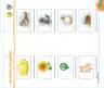 Miniatura página 66 de Aprendemos jugando : cuaderno de trabajo, 4 años · 2016