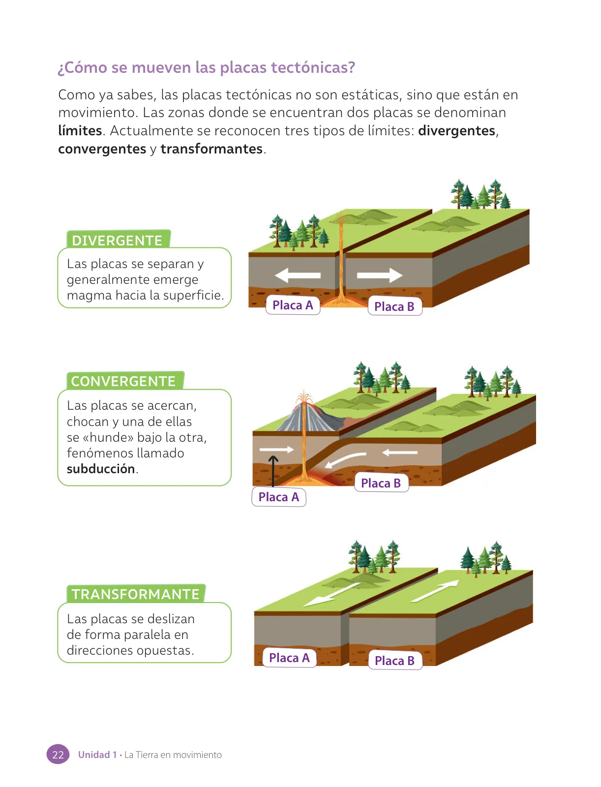 Miniatura página 24 de Ciencias Naturales – Cuarto Básico | Texto del Estudiante MINEDUC – Descargar PDF · 2024