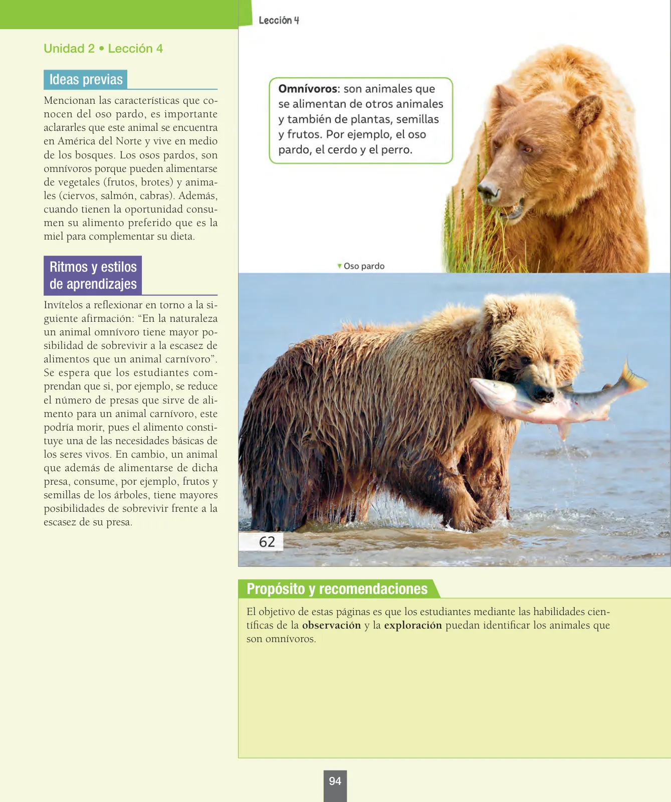 Miniatura página 95 de Ciencias Naturales – Primero Básico | Texto del Estudiante (MINEDUC) – Descargar PDF · 2024