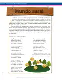 Miniatura página 260 de Lenguaje 7° · Secundaria Activa